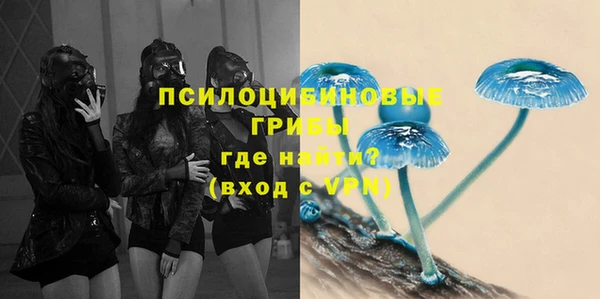 первитин Алексин