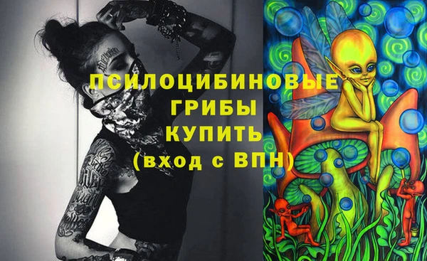 бошки Алзамай