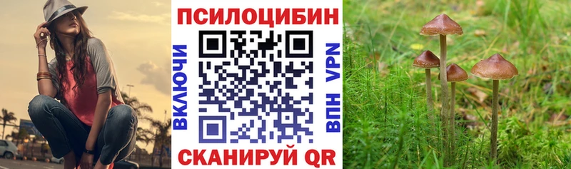 купить цена Черемхово kraken ССЫЛКА Галлюциногенные грибы GOLDEN TEACHER
